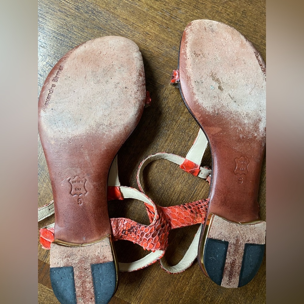 Alexandre Birman Red Python T Sandals Size 5 - image 3